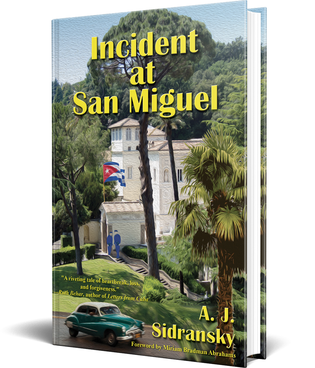 Incident at San Miguel Landing